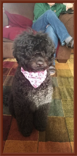 Sobrina and Her Bandana